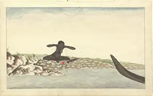 Aborigine: Healing a child