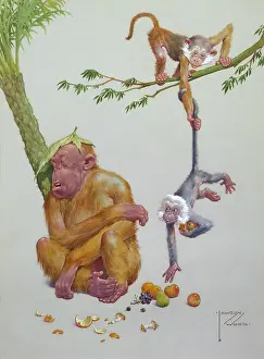 Orang: FOR HEALTH'S SAKE