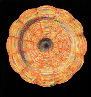 Chakras: The Heart Chakra