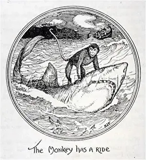 Swahili: THE HEART OF A MONKEY