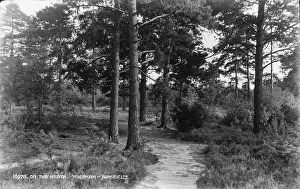 Woodham: On the Heath