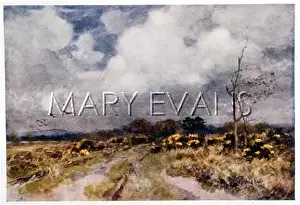 Heathland: HEATH IN HAMPSHIRE