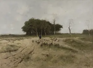 Herbivores: On the Heath Near Laren