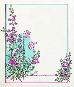 Heather