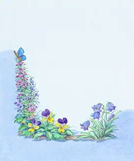 Adonis: Heather, Hearts Ease, Harebell, and Butterfly