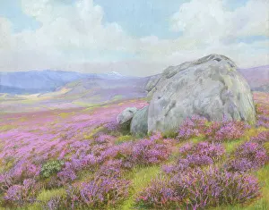 Marius: Heather on the moor with large boulders