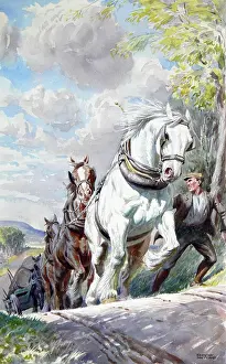 Logs: Heavy horses pull a Timber Wagon uphill