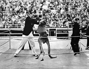 Carnera: Heavyweight champion Primo Carnera with ?