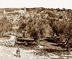 Hebron: Hebron, Palestine