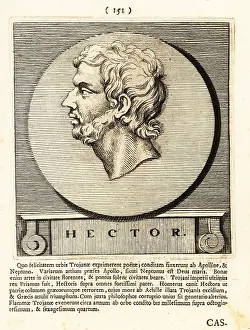 Gods And Heroes: Hector, Trojan hero in Homer's Iliad