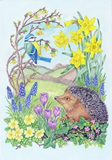 Crocuses: Hedgehog and Blue Tit with Spring Flowers