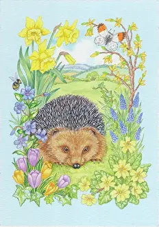 Crocuses: Hedgehog with Daffodils, Crocuses, etc