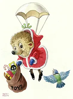 Racey: Hedgehog Father Christmas and parachute