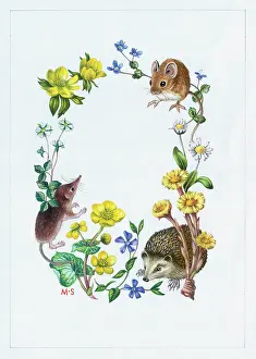 Shrew: Hedgehog, shrew, mouse, with aconites, periwinkle
