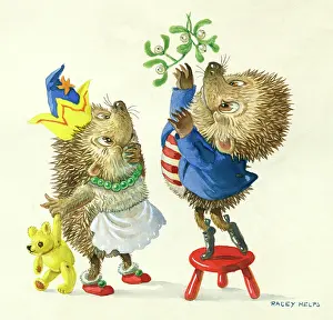 Hedgehogs: Two hedgehogs with mistletoe