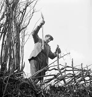 Hedger: Hedger