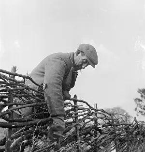 Hedger: Hedger At Work