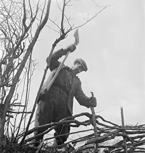 Hedger: Hedger At Work