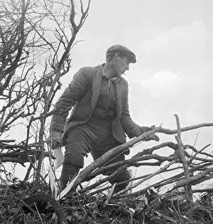 Hedger: Hedger At Work