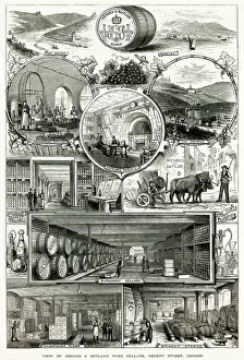 Winemaking: Hedges & Butler's Wine 1890