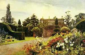 Elgood: Hedges, Trees, Flowers