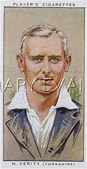 Verity: Hedley Verity, cricketer