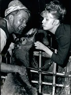 Heidi: Heidi Bruhl, James Dobson and a goat