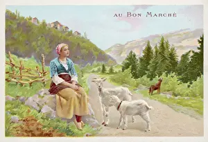Heidi: HEIDI & GOATS / SPYRI