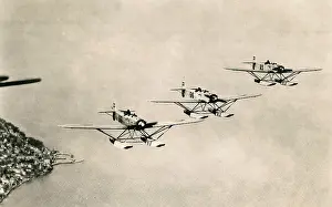 Floatplane: Heinkel HE8 reconnaissance floatplanes, Danish Navy