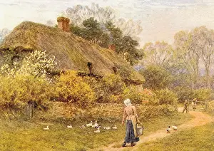 Shrouded: Helen Allingham, Tree-Shrouded Cottage