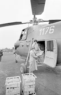Currants: Helicopter - goods
