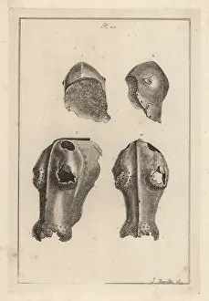 Chanfron: Helmet and chafron that belonged to Guy, Earl of Warwick