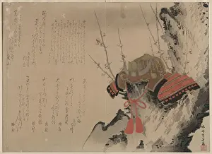 Clan: Helmet on a Plum Tree