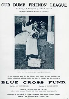 Vets: Help the Blue Cross fund 1916