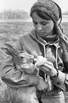 Feeds: Help for rabbits