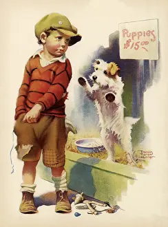 Canines: Help Wanted