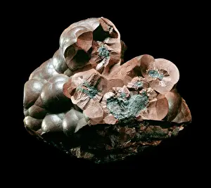Vitis: Hematite