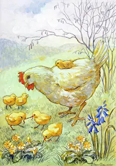 Bluebell: Hen and Chicks