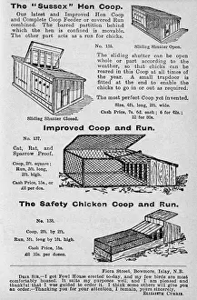 Coops: Hen coops