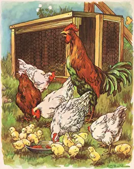 Hens: Hen House