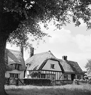 Henham: Henham
