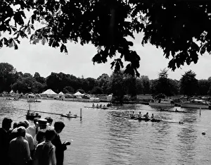 Regattas: HENLEY REGATTA 1966