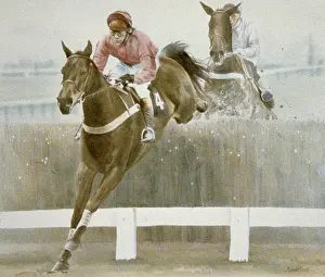 Stirrups: The Hennessy Gold Cup 1984