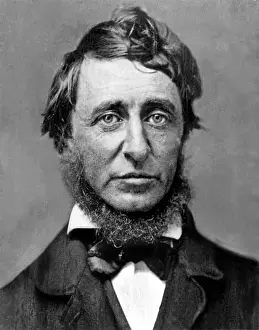 Thoreau: Henry David Thoreau. ?