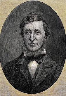 Thoreau: Henry David Thoreau