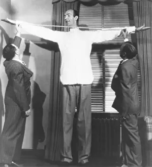 Gigantism: Henry Hite, the Chicago giant, is measured for