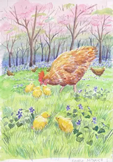 Kaoru: Hens and chicks with violets