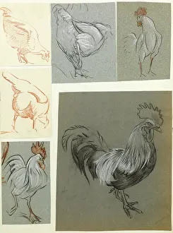 Hens: Hens and cockerels