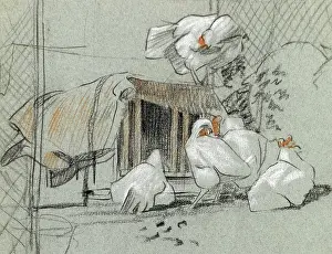Hens: Hens by a hen house