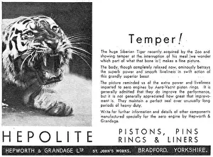 Gudgeon: Hepolite Pistons, Piston Rings &